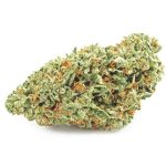 Шишки OG Kush  (Гидропоника, бошки) VHQ в Камышине